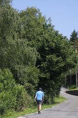 Sticker - Vegetation in an urban park