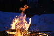 © Оксана Лесина - A beautiful flame from a big bonfire.