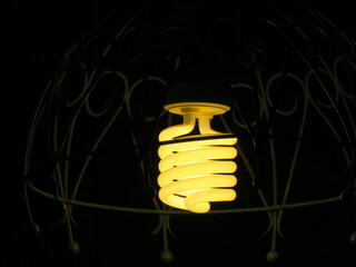 bulb on black