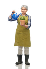 Canvas Print - gardening, farming and old people concept - smiling senior woman in green garden apron and rubber boots with flower in pot and watering can over white background