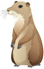 Animal Cartoon Character Of Prairie Dog On White Background