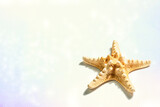 Fototapeta  - Single starfish isolated on white background