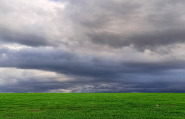 field and blue sky