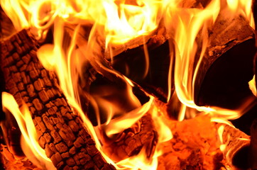 Fire. Burning wood in the stove. Close-up.