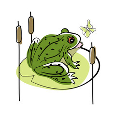 Wall Mural - Doodle Sketch Frog