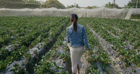 Sticker - Asian woman go strawberry farm