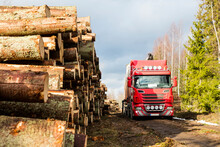 Truck Loading Logs In Forest