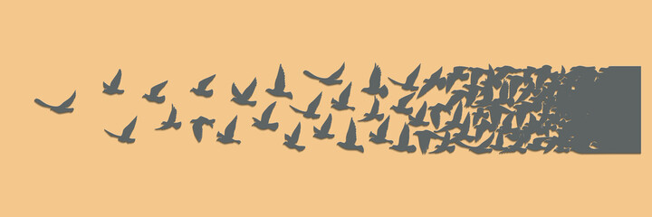 Wall Mural - Flying birds silhouettes on white background. Vector illustration. isolated bird flying. tattoo design.