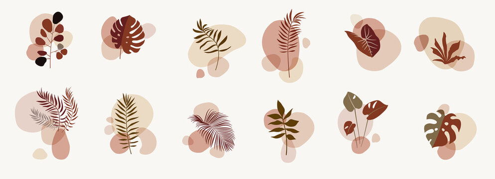 vector abstract botanical compositions. story highlights template. earthy colors natural organic flu
