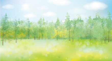 Wall Mural - vector summer landscape.. blue sky and green forest background.