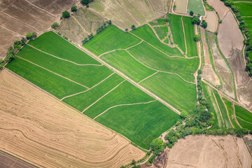 Cultivos de arroz a las afueras de Cucuta_Norte de Santander_COlombia, vista aerea de cultivos de arroz zona fronteriza entre Colombia y Venezuela 
Rice crops on the outskirts of Cucuta Colombia