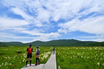 Wall Mural - 初夏の花々を楽しむハイカー
