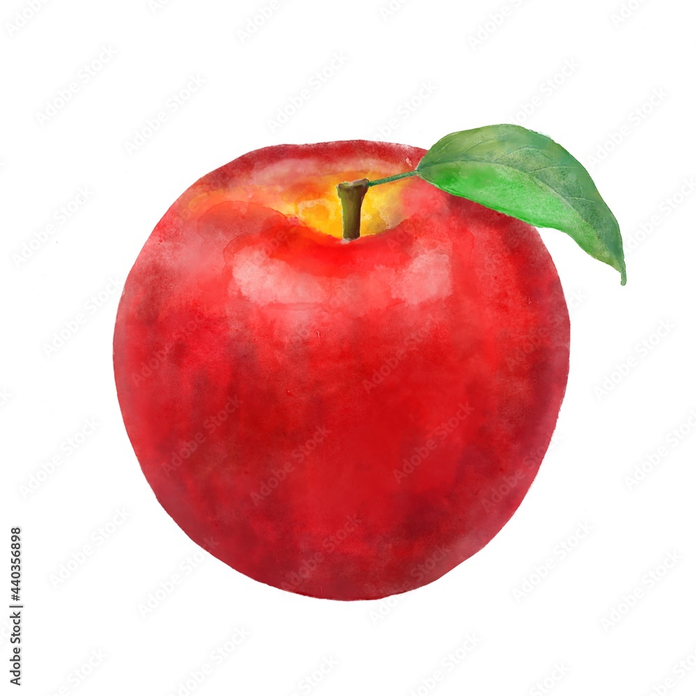 葉付き リンゴ 水彩画風 イラスト Stock Illustration | Adobe Stock