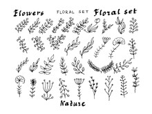 Flower Set Nature Plants Twigs Florets Vector. Print Textile Vintage Graphic Hand-drawn Illustration. Botany Floral Clipart
