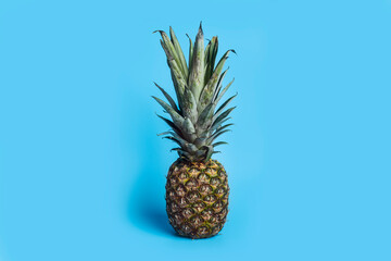 Wall Mural - Vertical picture of fresh ripe pineapple on a blue background