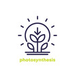photosynthesis line icon with plant and sun