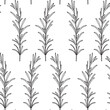 Seamless pattern. Vector illustration with rosemary branch.