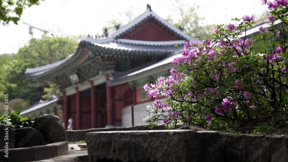 경희궁 - 조선시대 궁궐 素材庫相片 | Adobe Stock