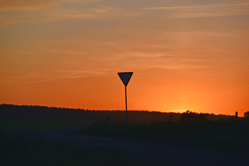 Wall Mural - Rural field on the background of the setting sun