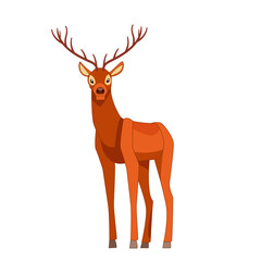 Wall Mural - Forest graceful deer with antlers in standing pose. Wildlife of forest mammals concept. Cartoon vector Illustration flat style isolated white background