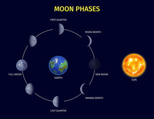 Wall Mural - Moon Phases Infographic Set