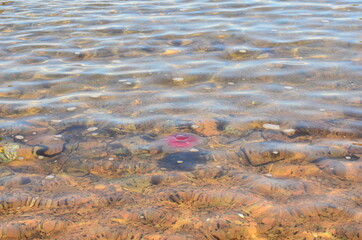 Canvas Print - water and sand