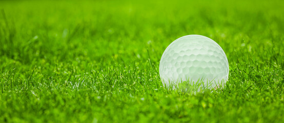 Canvas Print - Golfball im Gras Nahaufnahme