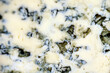 blue cheese close-up. cheese background