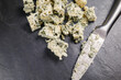 blue cheese diced close-up. food cheese