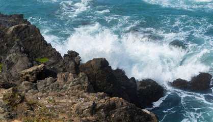 Crashing waves on the N. California coast