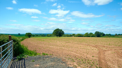 Agriculture farm field in english countryside with blue sky and small clouds.