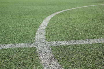 White stripe on the green soccer field