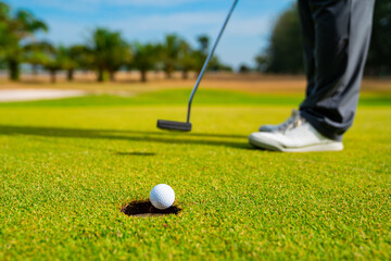 Golfer putting golf ball on the green golf, lens flare on sun set evening time, Pro Golf long putting golf ball in to the hole, sunset scene time.
