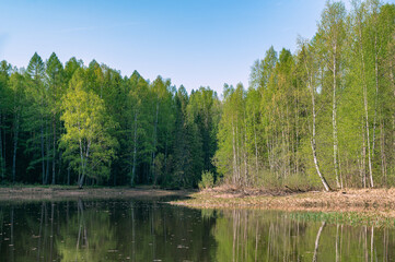 Wall Mural - Spring morning landscape of the river bank with forest, blue sky, reflection, in calm water.