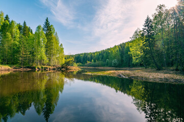 Wall Mural - spring morning landscape of the river bank with forest, blue sky, reflection, in calm water.