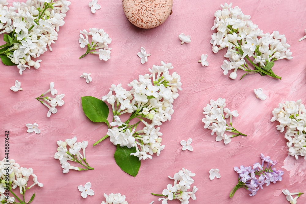 Beautiful lilac flowers on color background