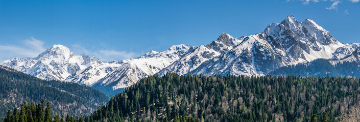 Wall Mural - Panoramic landscape view, snow covered mountain peaks on mountain range. Hills and mountains covered with green pine forest, Arkhyz villadge, Caucasus mountains, Russia