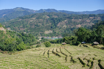 Wall Mural - Scenic landscape panorama of the Siyom or Siang river valley, with rice terraces in foreground and evidence of slash and burn agriculture, Arunachal Pradesh, India