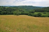 Fototapeta Sawanna - Panorama sur la campagne.