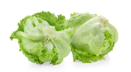 iceberg cabbage on white background