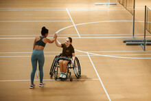 Wide Angle View At Smiling Young Woman In Wheelchair Playing Badminton And High Five Partner During Practice At Indoor Court, Copy Space