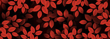 Realistic Leaves. Autumn Background Red Colors. Texture Design For Web Banner, Print, Wallpaper. Vector Illustration.