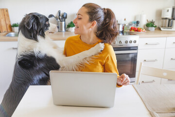 Mobile Office at home. Young woman with pet dog sitting in kitchen at home working using on laptop computer pc. Lifestyle girl studying indoors. Freelance business quarantine concept.