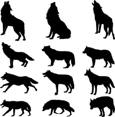 Silhouette of a wolf vector illustration isolated on white background