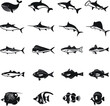 Fish species icons vector illustration