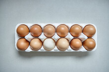 Dozen Eggs In Paper Carton