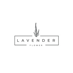 Flower Lavender Oil Square Logo Vector Illustration Template Icon 