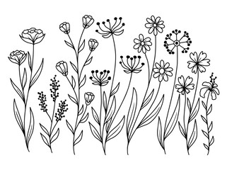 Wall Mural - Hand drawn flower sketch line art illustration set.