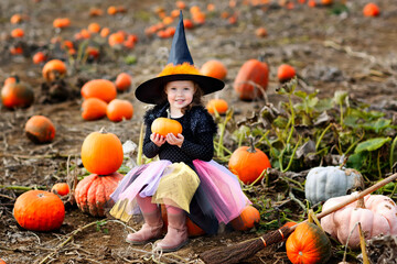 little girl wearing halloween witch costume on pumpkin patch