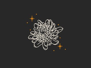 Wall Mural - Hand drawn vector abstract stock flat graphic illustration with logo elements,magic line art of peony flower and stars,feminine boho concept in simple style for branding ,isolated on black background